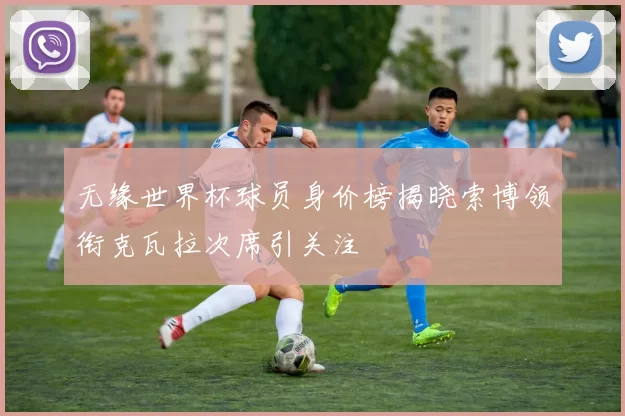 无缘世界杯球员身价榜揭晓索博领衔克瓦拉次席引关注