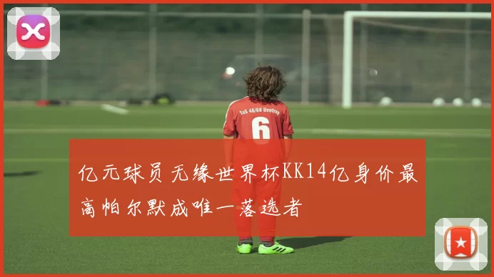 亿元球员无缘世界杯KK14亿身价最高帕尔默成唯一落选者