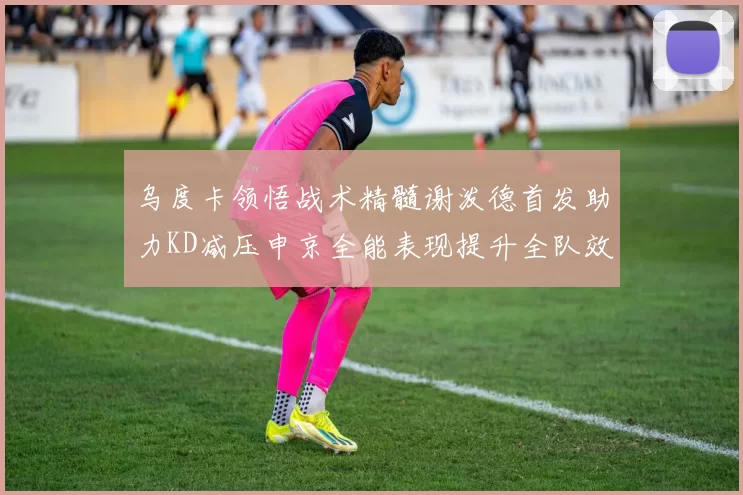 乌度卡领悟战术精髓谢泼德首发助力KD减压申京全能表现提升全队效率