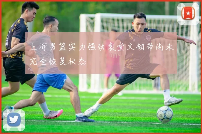 上海男篮实力强劲袁堂文韧带尚未完全恢复状态